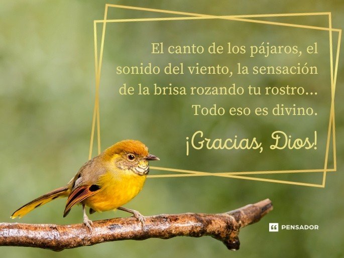 Dios Gracias Frases Y Oraciones Que Te Inspirar n A Agradecer Cada D a 