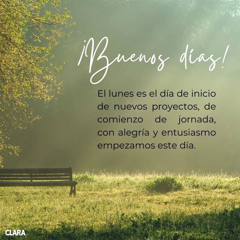 Frases inspiradoras para comenzar la semana con energía y motivación